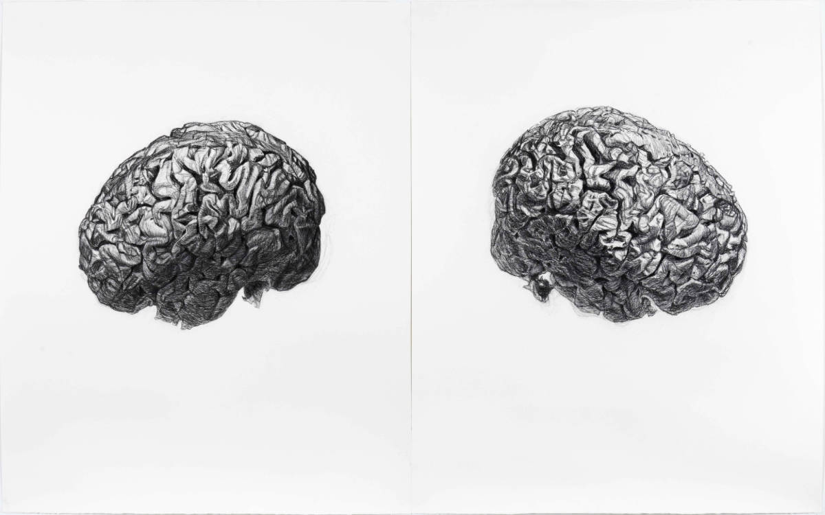 Where Do I End and You Begin (Human Brain)